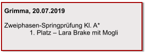 Grimma, 20.07.2019  Zweiphasen-Springprüfung Kl. A*               1. Platz – Lara Brake mit Mogli